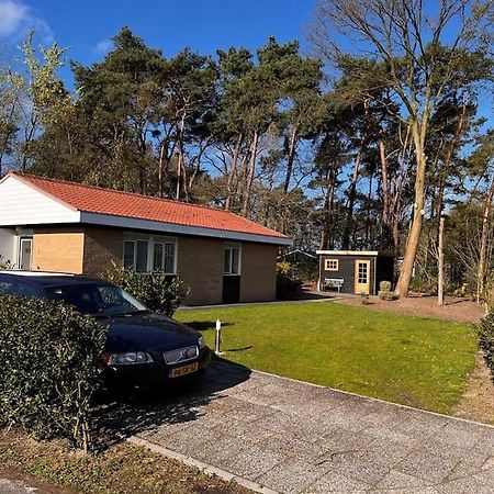 דנקאמפ Fijne Plek Met Eigen Bos 2000M2 En Gratis Linnen En Handdoeken!! מראה חיצוני תמונה
